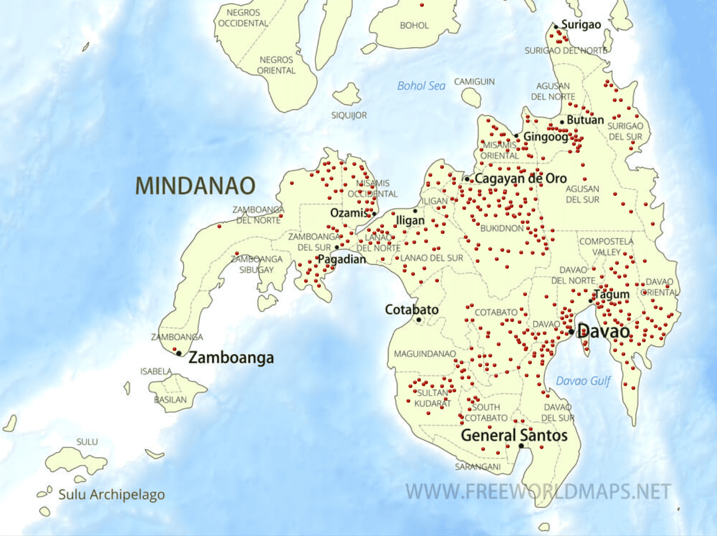 Mindanao Hospitals